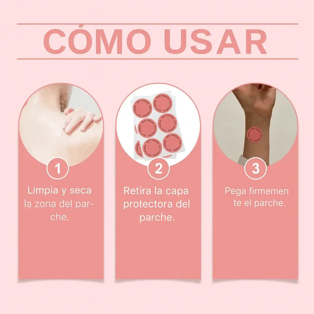 Encabezado