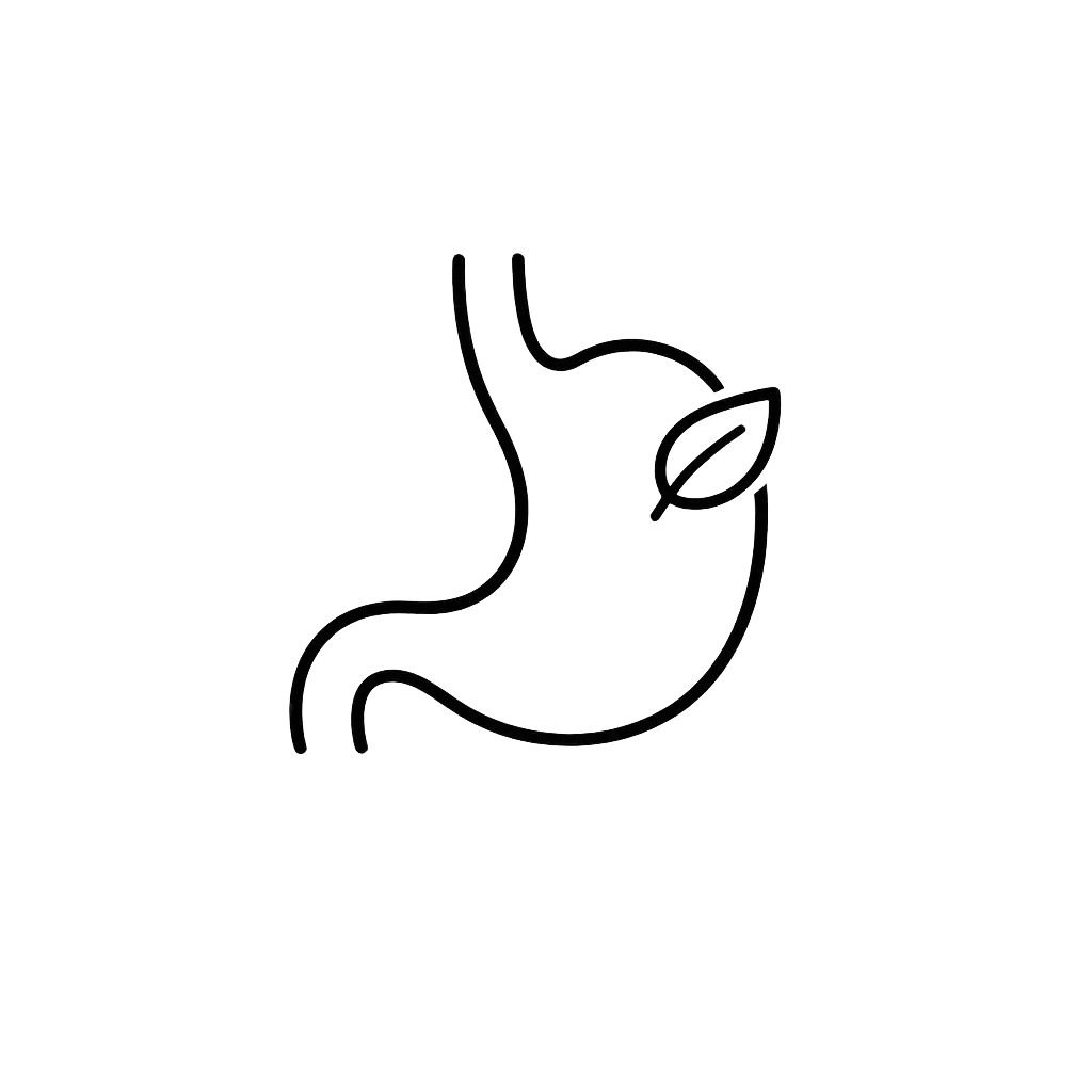 Mejora tu digestión y reduce la hinchazón